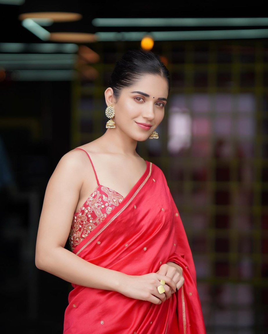 Ruhani Sharma in a red saree by Deepthee 4 Ruhani Sharma in a red saree by Deepthee-4