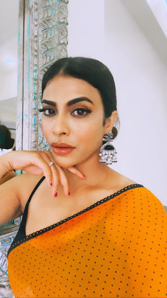 Bollywood Actress Rina Charaniya Latest Hot Stills In Saree Flipkart