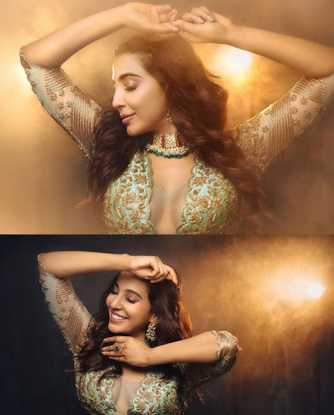 Parvati Nair Allurin Poses in Shiny Dress Flipkart