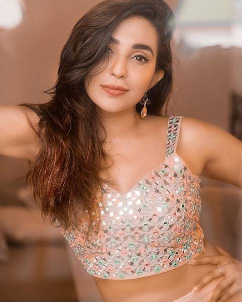 Parvati Nair Allurin Poses in Shiny Dress Flipkart