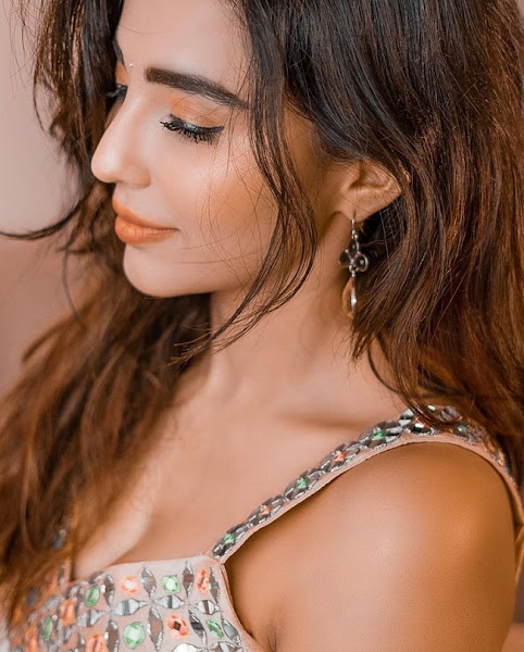 Parvati Nair Allurin Poses in Shiny Dress Flipkart