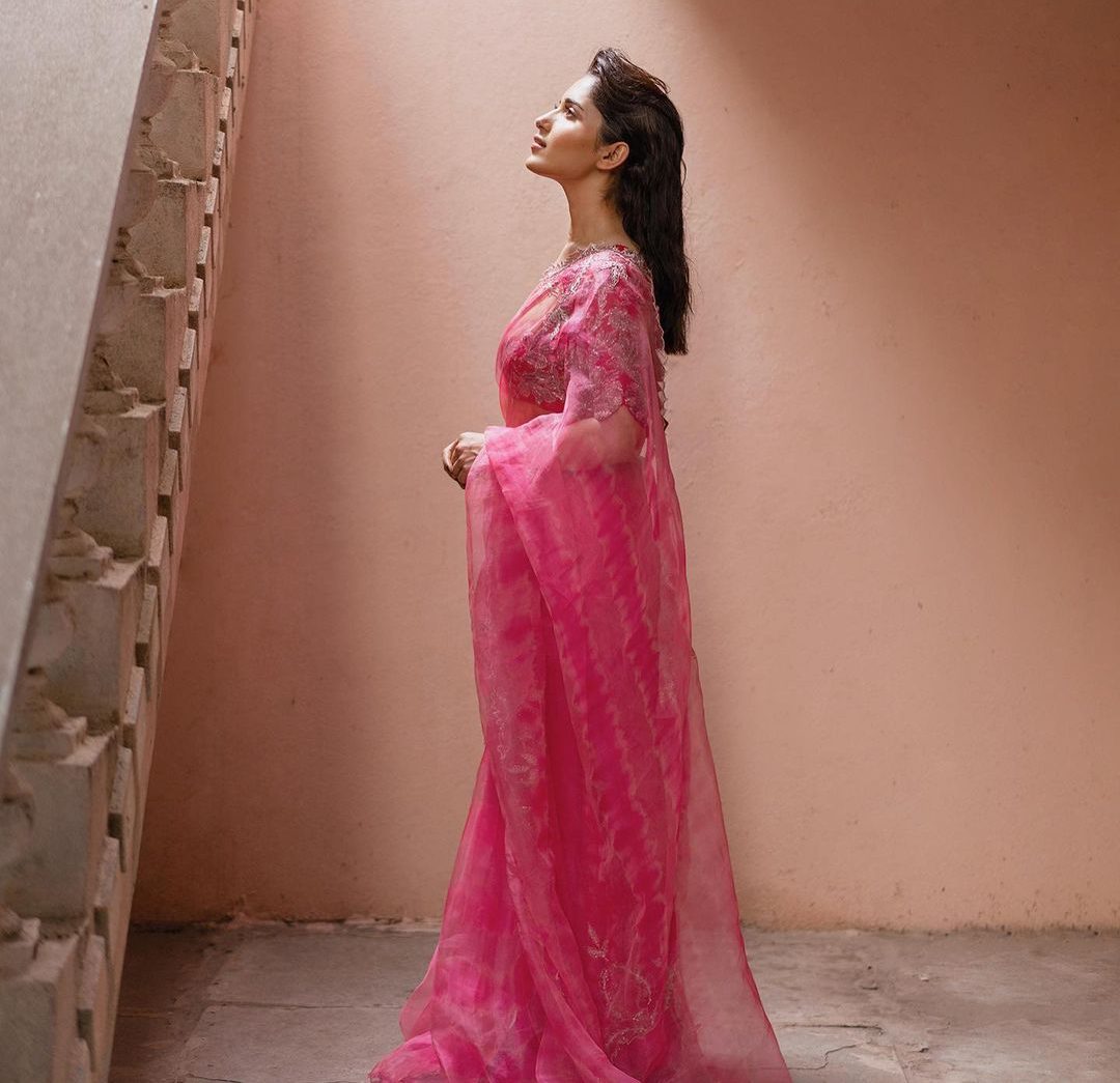 Ruhani Sharma in a pink organza leheriya saree! How to style a saree