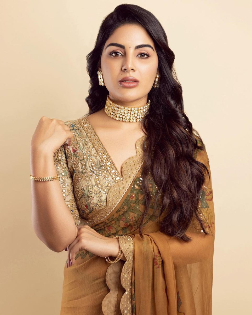 samyuktha menon in a brown saree by archana jaju1 samyuktha menon in a brown saree by archana jaju1