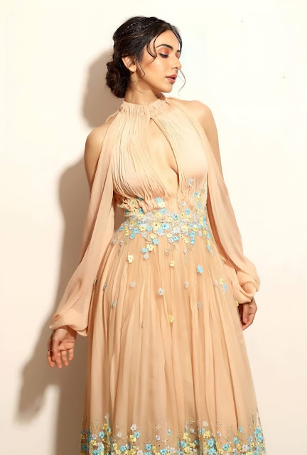 Rakul Preet Singh’s Stylish HD Clicks