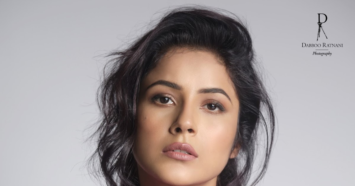 Shehnaaz Gill’s Latest Stunning HD Pics Celebrity Sarees