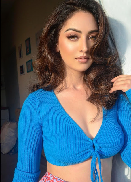 Sandeepa Dhar in long sleeves crop top hot stylish pics