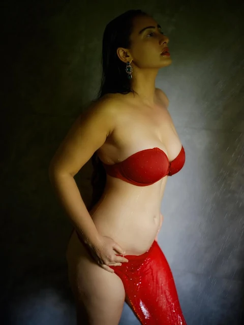 Megha Shukla hot pics in strapless red two-piece outfit