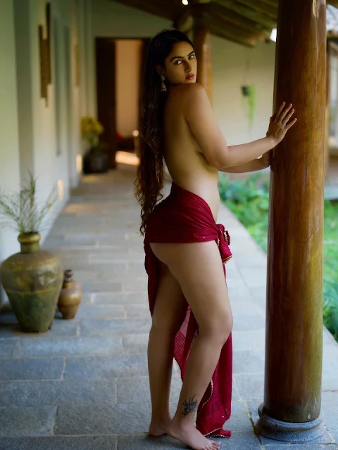 Megha Shukla Red Saree Pics