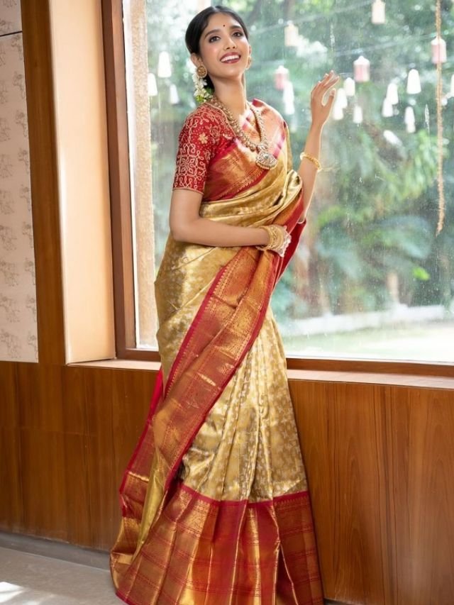 Different Types of Sarees of Different States in India: The Ultimate Guide for Saree Lovers Kanjivaram Saree from South India
