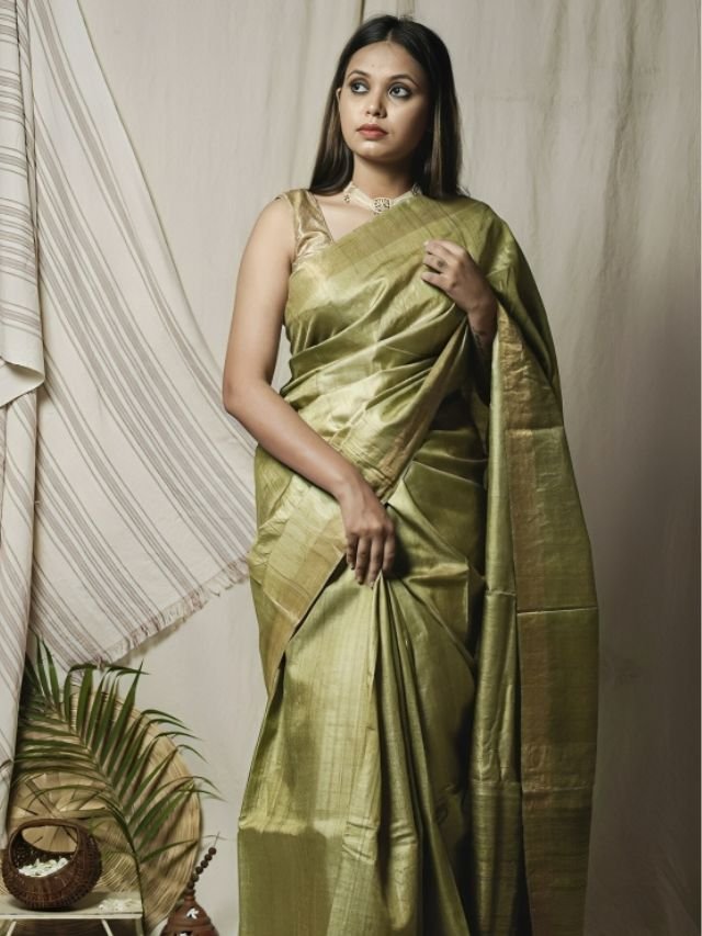 Different Types of Sarees of Different States in India: The Ultimate Guide for Saree Lovers Kosa Silk Saree from Chhattisgarh