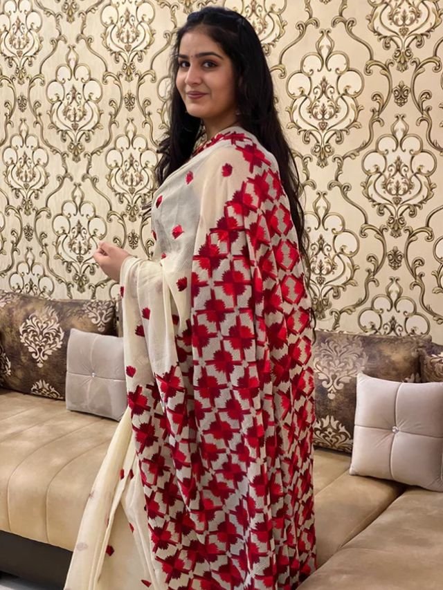 Different Types of Sarees of Different States in India: The Ultimate Guide for Saree Lovers Phulkari Sarees from Punjab