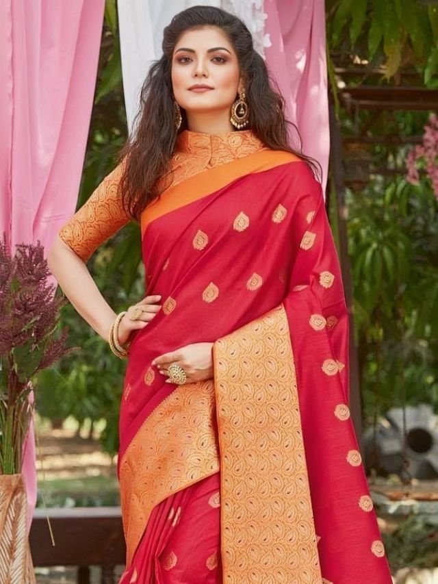 Different Types of Sarees of Different States in India: The Ultimate Guide for Saree Lovers Chanderi Saree Design from Madhya Pradesh