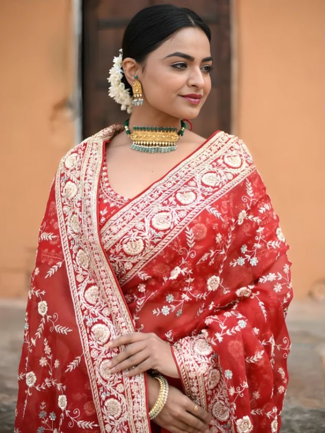 Different Types of Sarees of Different States in India: The Ultimate Guide for Saree Lovers Zardosi Work Saree from Uttar Pradesh