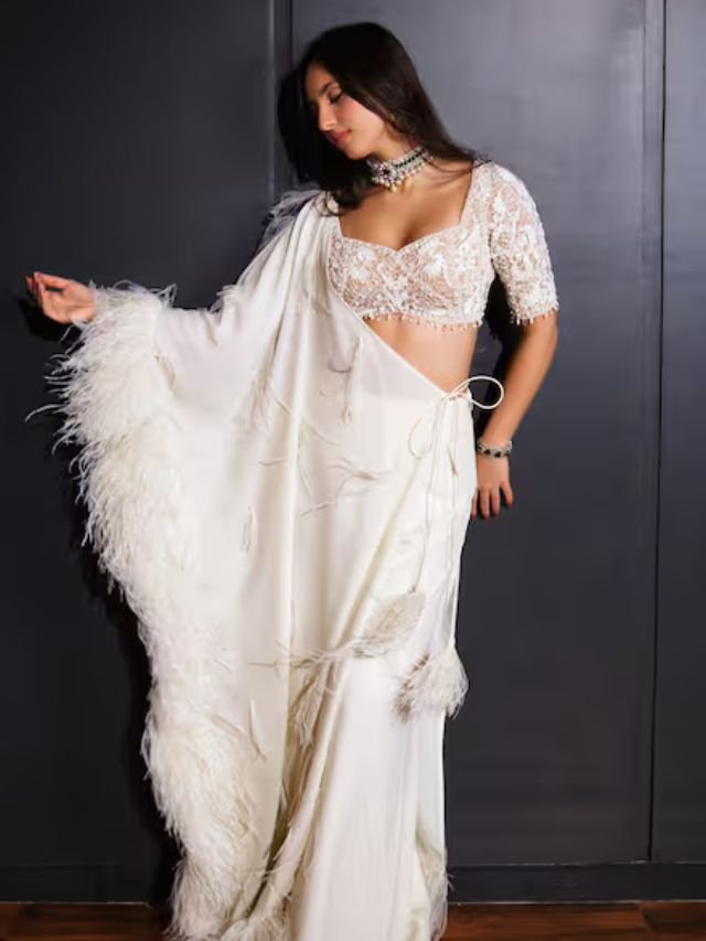Different Types of Sarees of Different States in India: The Ultimate Guide for Saree Lovers Feather-attached sarees