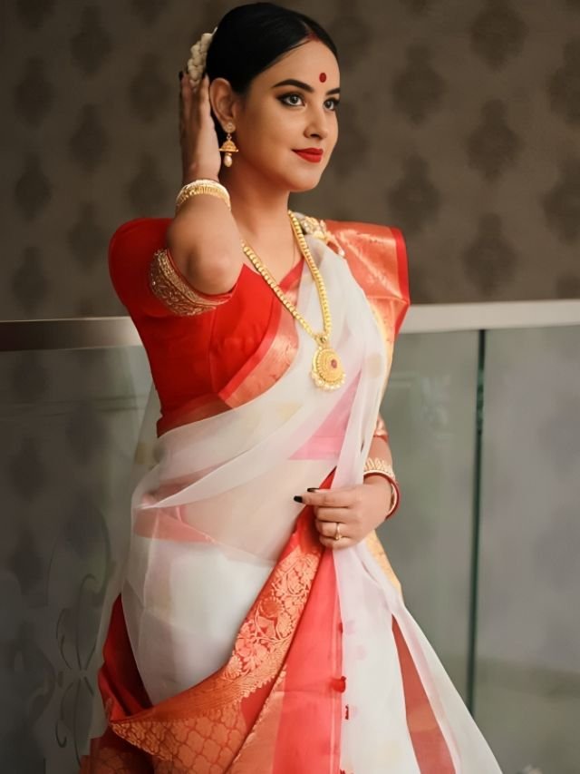 Different Types of Sarees of Different States in India: The Ultimate Guide for Saree Lovers Different Types of Sarees in Red and White Shade