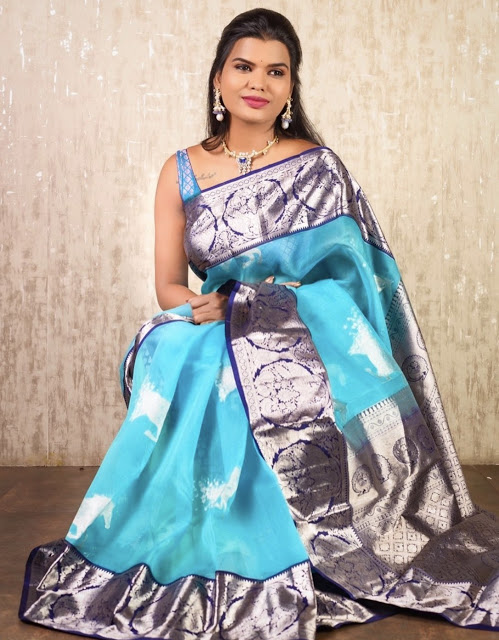 Shashi Vangapalli Blue Tissue Silk Saree Sarees