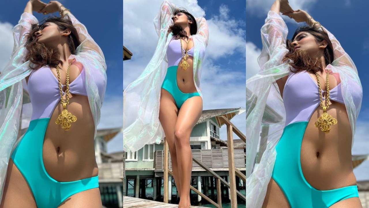 Actress Malavika Mohanan Latest Hot Photoshoot Stills Celebrity Sarees