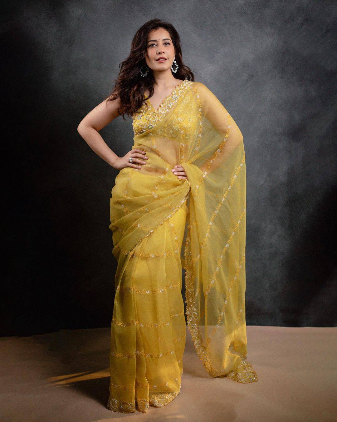 Raashii Khanna looks picture perfect in an organza hand embroidered saree! Celebrity Sarees