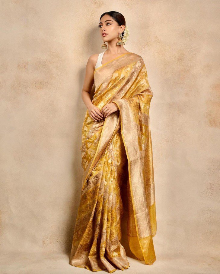 Anu Emmanuel looks her ethnic best in a gold tissue silk saree for “Japan” launch! Sarees