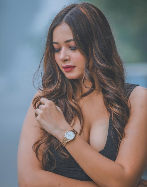 Bollywood Actress Mashum Latest Hot Pics Celebrity Sarees