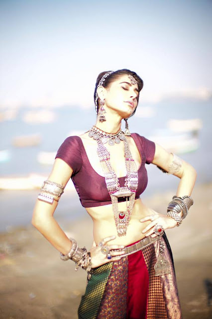 Bollywood Actress Nargis Fakhri Latest Photoshoot Pics In Traditional Wear Celebrity Sarees