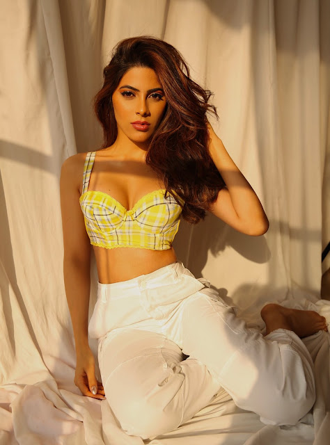 Bollywood Actress Nikki Tamboli Latest Photoshoot Pics Celebrity Sarees