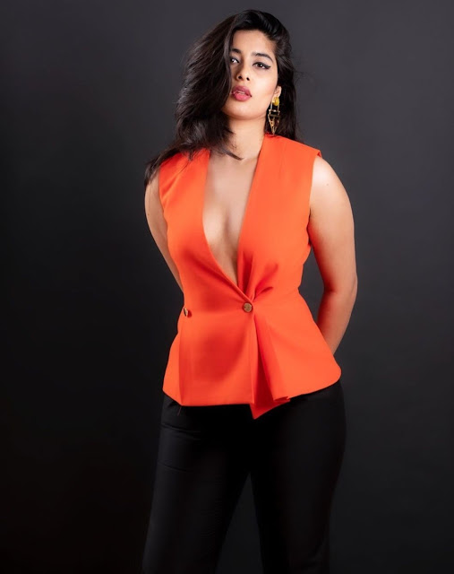 Nikitha Sharma Bollywood Model Hot Stills Celebrity Sarees