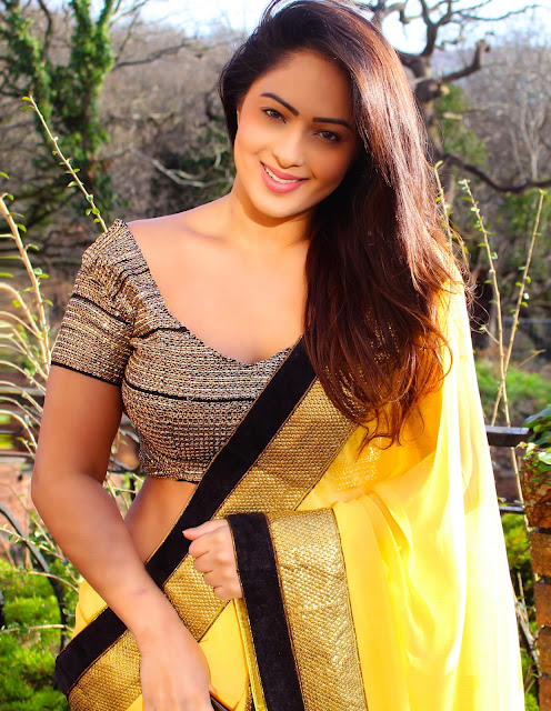 Nikeesha Patel’s Gorgeous Yellow Saree Look Celebrity Sarees