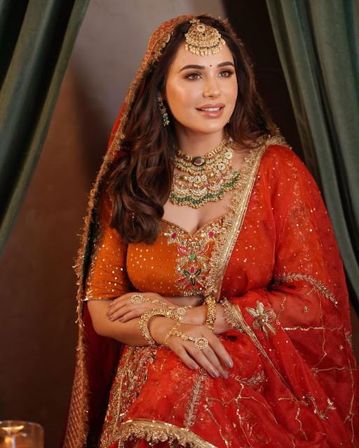 Bollywood Actress Mandy Takhar, hot stills in bridal look Celebrity Sarees