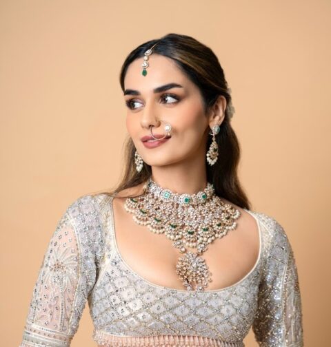 Bollywood Actress Manushi Chhillar Latest Hot Photoshoot Pics Celebrity Sarees