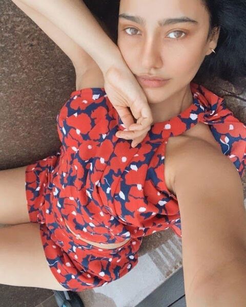 Bollywood Actress Neha Sharma Hot and Stylish Pics Celebrity Sarees