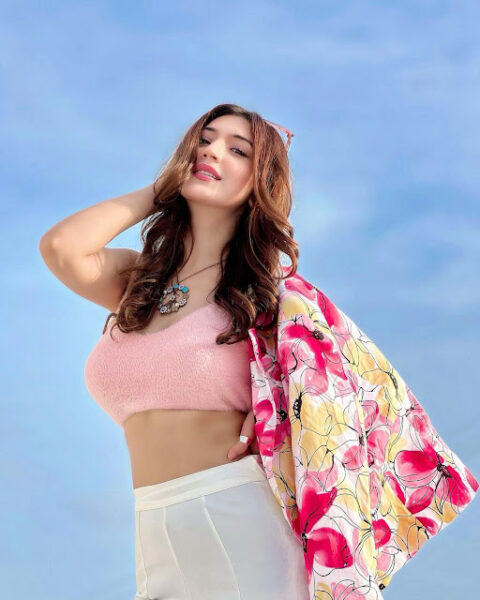 Bollywood Actress Priyanka Khera Sizzles in Latest Hot Photoshoot Pics Celebrity Sarees