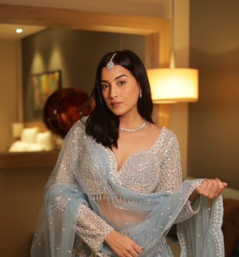 Janvi Singh Looks Graceful in Traditional Wear Celebrity Sarees