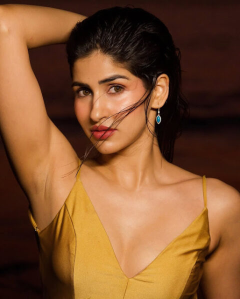 Bollywood Actress Sakshi Malik Latest Hot HD Pics Celebrity Sarees