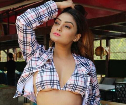 Bollywood Actress Twinkle Kapoor Turns Up the Heat in Latest Hot Photos Celebrity Sarees