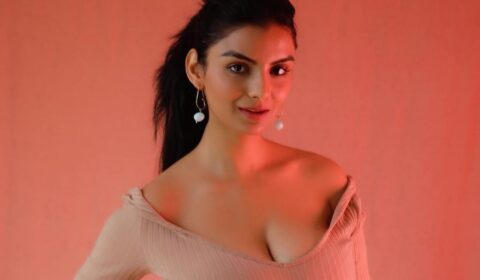 Anveshi Jain Looks Stunning in Light Pink Deep Neck Dress Celebrity Sarees