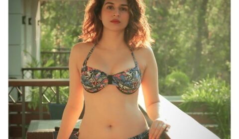 Bollywood Actress Shraddha Das Raises the Heat in Latest Bikini Stills Celebrity Sarees