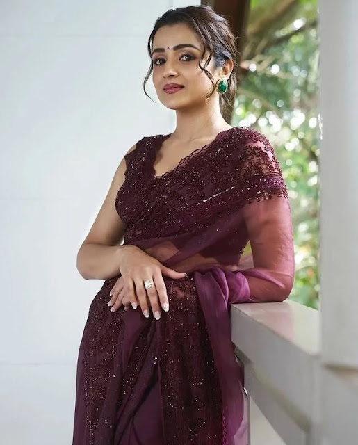 Trisha Krishnan Shines in Maroon Saree Cute Pics Beauty