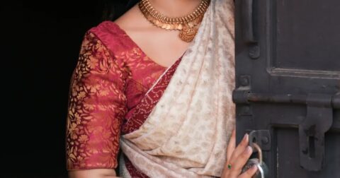 Priyanka Jain Latest Silk Saree Images Celebrity Sarees