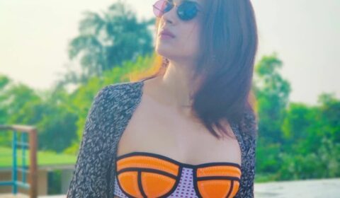 Shraddha Das Latest Beach Style Pics India Wedding Saree